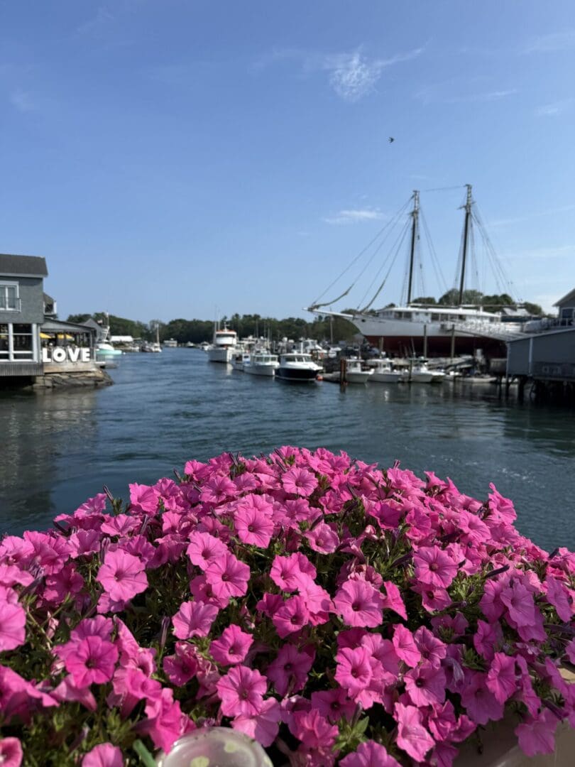 Magic Time Kennebunkport yacht charter in summer