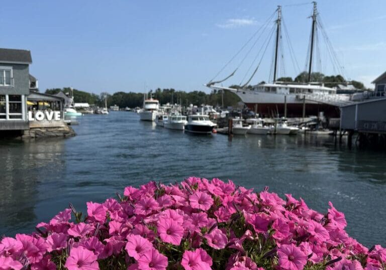 Magic Time Kennebunkport yacht charter in summer